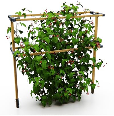 Gusta Garden Berry Buddy - Flexible Rankhilfe für Beeren: Himbeeren, Brombeeren & Heidelbeeren, erweiterbar, produziert in der EU, Rankgitter aus Holz (120cm)