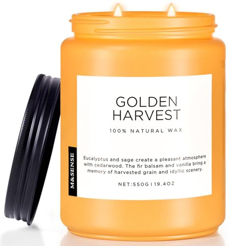 M&SENSE Doftljus i Glas för Home Decoration, 2 Wick Naturlig Stora ljus 550g 110 Timmar Långvarig Långsam Bränning,Eukalyptus & Balsamgran Aromatisk Höstljusgåva Heminredning