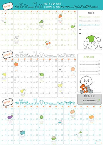 Calendrier Poster 9 Mois Livre de Bord Suivi de Grossesse Jour Après Jour Bleu Format A2 60x42cm