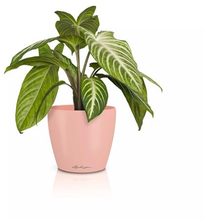 Lechuza - Maceta Classico Color 14 Deco Magnolia, Superficie Mate, diámetro 15 x 13,5 cm, 16684