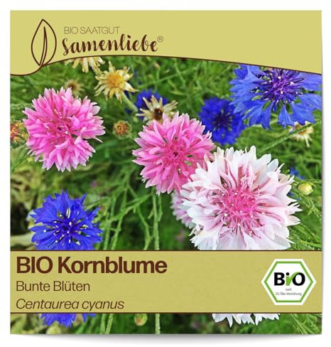 Samenliebe BIO Kornblume Samen Bunte Blüten Schnittblume Bienenweide 200 Samen samenfestes Blumen Saatgut für Gewächshaus Freiland und Balkon BIO Blumensamen mehrjährig