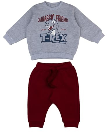 Prénatal, Completo Tuta Neonato Felpata a Tema Dinosauri, Pantalone Lungo e Felpa in Morbido Cotone, Abbigliamento Bambino