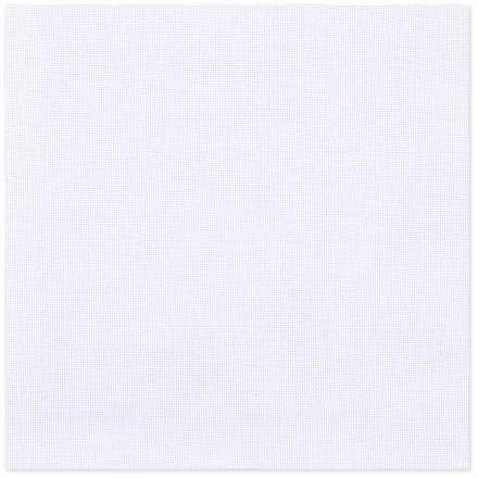 letsinstyle Mesh Needlepoint Canvas， 50 x 50 cm White Blank Linen Canvas for Embroidery， Twist Interlock Canvas for Knit Crochet Projects Cross Stitch and Make Dividers
