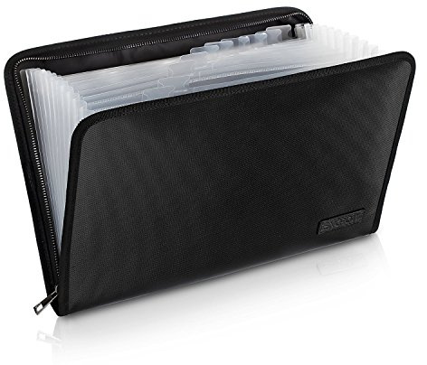 ENGPOW Fireproof File Folder Fireproof Fire and Water Resistant Money Document Bag with A4 Size 13 Pockets Zipper Closure Non-Itchy Silicone Coated Portable Filing Organizer Pouch(14.3 x 9.8)