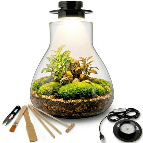 Kit Terrario XL Completo con Luz Smart LED para Jardín Eterno