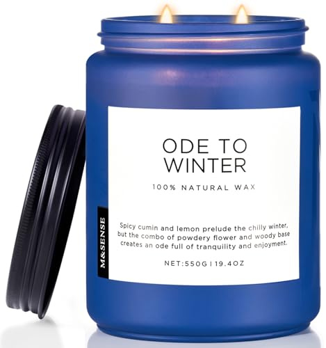 M&SENSE Doftljus för Art Deco, Ode to Winter Sojaljus med Stark Doft, 2 Wick Burkljus 550g, 110 Timmars Långvarig Bränning, Lavendel & Sandelträ, Naturlig Aromaterapiljus för Camping & Massage