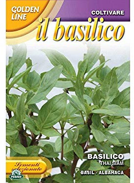 SEMENTI DI BASILICO THAI SIAM orto giardino semi seeds