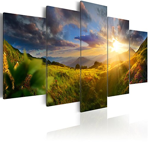 Cuadros B&D XXL Cuadro Acústico Paisaje Naturaleza 200x100 cm espuma