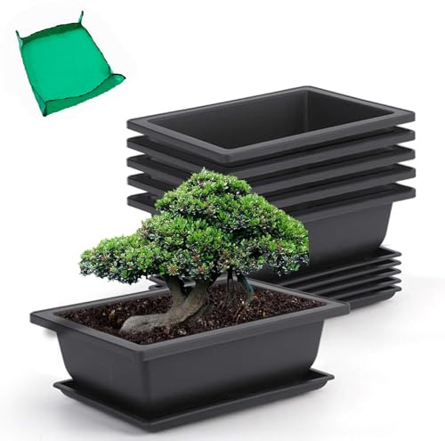 GROWNEER 6 paket 23 cm bonsai träningskrukor med dräneringsfuktighet brickor och 15 st växtetiketter, plastbonsai trädväxter växtkruka för trädgård, gård, kontor, vardagsrum, balkong