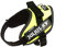 Zen-Kat Julius-K9 IDC Powerharness Mini Mini Neon Green (40-53 cm)