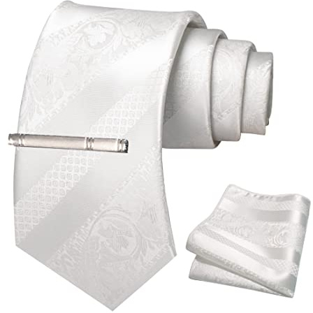 JEMYGINS Ensemble de cravates pour Hommes avec Motif de Roses et de Rayures Mélangées comprenant une Épingle à Cravate et un Mouchoir Blanc pur