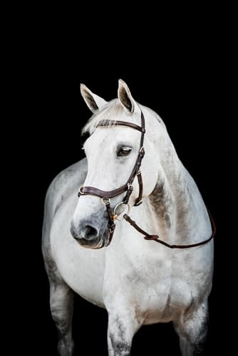 Horseware HW Micklem2 Multi Bridle, X-Warmblut, Dark Havanna