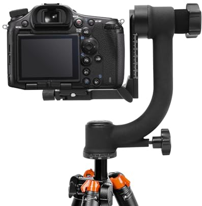 Professionellt Gimbal stativhuvud, 360° panorama Gimbal stativhuvud, kardanskt stativhuvud för digitalkameror, DSLR, djurfotografering, sportfotografering, utomhusfotografering, lastkapacitet 20 kg