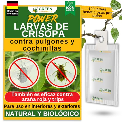 GREEN GUARDIA Power – Uova contro afidi e pidocchi – 15 sacchetti – Agente biologico per efficace lotta contro afidi e pidocchi di lana per piante da interno e ornamentali e molto altro ancora.