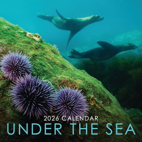 Calendario de pared colgante cuadrado 2026 Under the Sea de 30,5 x 30,5 cm con impresionante fotografía submarina de vida marina - Sin plástico, respetuoso con el medio ambiente. Planificador diario