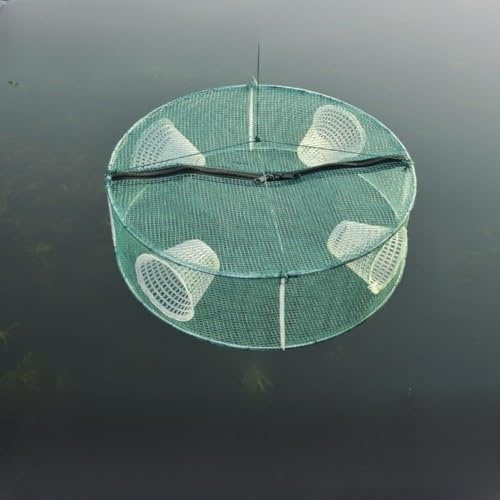 Collapsible Fish Trap 30-46cm Nylon Mesh Cage with Multi-Entry Funnels for Shrimp Crab Minnow Catching River Lake Use Green(D)