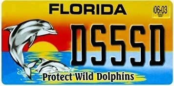 OPO 10 - USA Auto KENNZEICHEN - 30x15 cm Metall Replik: Florida (C13)