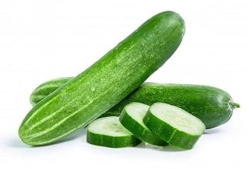 50 graines de concombre