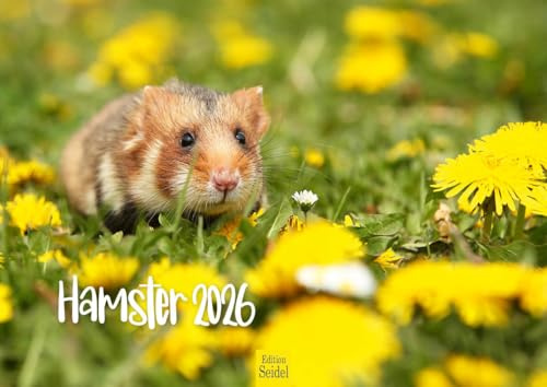 Edition Seidel Calendario premium para hámster 2026, formato DIN A4, calendario de pared, calendario de animales, mamíferos, mascotas, roedores, roedores