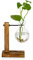 Station De Propagation avec Support en Bois 1 Ampoule Vintage Avocat Vase Tube à Essai en Verre Vases pour Fleurs Plante De Gland pour La Maison Table Bureau Décor Intérieur