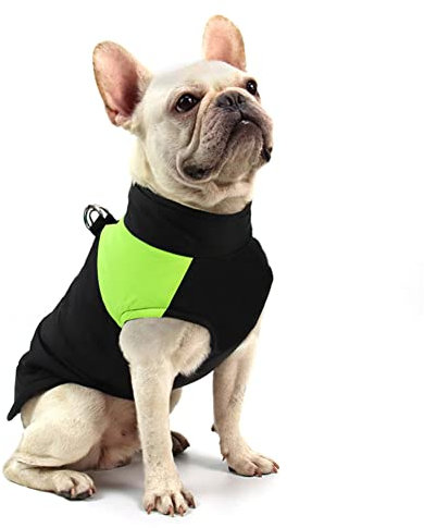 FEimaX Hundemantel für Hunde, Hundejacken Wasserdicht Warme Jacke für Kleine Mittelgroße Große Hunde Winterjacke Warm Gepolstert Welpen Weste Haustier Kleidung für Kaltes Wetter