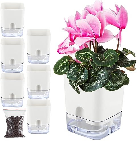Planterhoma Paquete de 6 macetas de riego automático de 5.5 pulgadas para plantas de interior, caja cuadrada transparente para hiedra del diablo, planta araña, orquídea, violeta africana