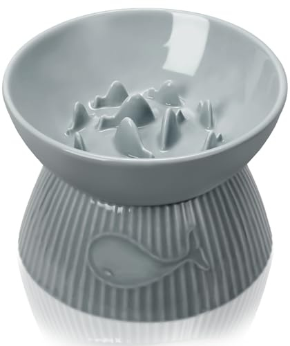Kopmath Elevated Slow Feeder Bowl for Cats and Small Dog, Stop Vomiting & Choking, Ceramic Slow Cat Bowl, Spill-Proof & Anti-Tipping, Easy to Clean, No Black Chin, Raised Pet Bowl for Dry & Wet Food