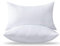 OTPIPCS 30 x 50 Cushion Inserts Pack of 2 - Soft and Fluffy Small Lumbar Pillow Sofa Decorative White Rectangle 12 x 20 inches Throw Pillow Inserts Stuffing for Living Room Couch and Interior Cushions