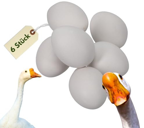 6x Legeeier Kunsteier Nesteier Gipseier Bruteier Fasanen Gänse Enten Künstliche Eier Gänseeier Weiß