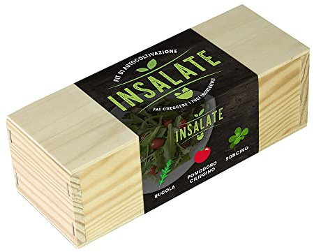 Självväxande kit sallader: rucola, körsbärstomat och tupplur.