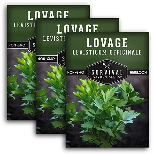 Survival Garden Seeds - Lovage Seed for Planting - 3 Packs with Instructions to Plant and Grow Perennial Levisticum Officinale Culinary Herb in Your Home Vegetable Garden - Non-GMO Heirloom Variety