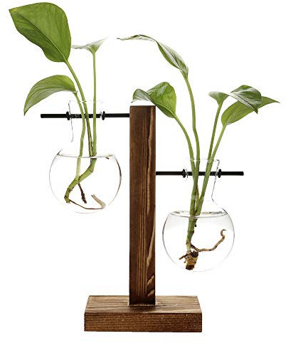 belupai Vases hydroponiques vintage, vase transparent, cadre en bois et verre pour plantes de table, décoration pour bonsaï, B - Vase à 2 ampoules., 11.5 x 19.5cm