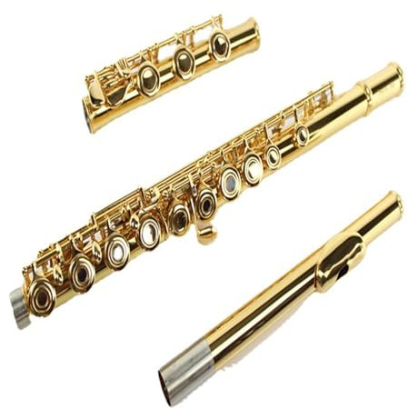 tvärflöjt instrument Flöjtinstrument 17 hål öppet hål