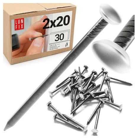 Chiodi per quadri muro 2x20 mm, 30 pezzi, Ø6 mm, acciaio testa argentata, chiodini cartongesso muro gesso, immagini da parete, chiodi compensato, appendi quadro per mattone legno Lun Fix