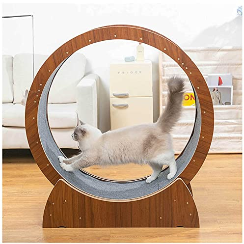 Laufrad für Indoor-Katzen, Sicherheit Anti-Pinch Silent Katzenlaufrad, Interaktives Haustierspielzeug, Katzenlaufband, Perfekt für Gewichtsverlust und Spaß beim Spielen
