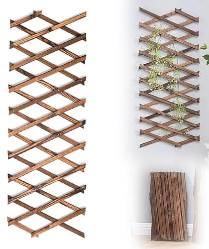 Celosía Extensible Madera, Enrejado para Plantas Trepadoras Reja Soporte Trepadoras Extensible hasta 200cm, Valla Jardin Exterior para Tus hiedras, Flores o Plantas