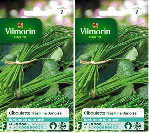 Vilmorin 3410445 Pack de Graines Ciboulette Très Fine Danoise (Lot de 2)