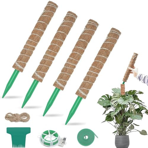 Växt mossstång – 4-delad naturlig böjbar – inomhus böjbar mossstång – för Adansonii murgröna vinrankor hemmakontor utomhus balkong trädgård uteplats