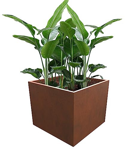 Elevens Corten Stahl-Pflanzkasten, große Pflanzgefäße für Outdoor-Pflanzen, hoher Pflanzkasten, Garten, Stahl-Pflanztopf für Terrasse, Deck und Hinterhof, braun, 61 x 61 x 50,8 cm