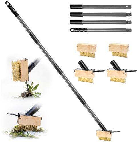 Draome Weed Remover Brush Tool & Moss Remover Set