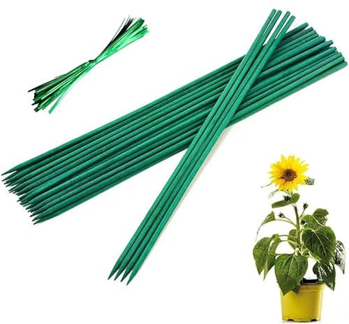 30PCS 30CM Plant Support Sticks, Green Bamboo Canes with 50PCS Twist Ties Wooden Garden Stakes Bamboo Sticks for Plants Flowers, Home Garden Use
