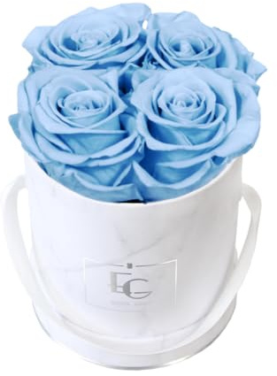 EG EMMIE GRAY Classic Infinity Rosebox | Round | XS | Marble Silver – 4 Infinity rosor med lång hållbarhet och riktiga rosor som blommar upp till 3 år, konserverade rosor (babyblå)