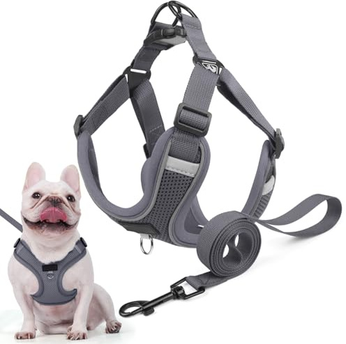 Harnais Chien avec Laisse, Harnais Anti Traction pour Chien de Taille Petits et Moyens, Réfléchissant & Rembourré Doux Harnois Veste Chiot, Idéal pour Marche, Course et Formation (Gris, L)