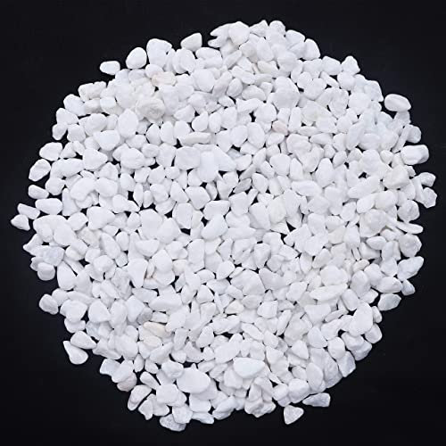 HREDZEO Mini Pierre Blanches,250g Pierres Décoratives Petit Gravier Gravier Galets Pierres Petits Poli Pierres de Blanc pour Aquarium Décorations de Jardin Pots de Fleurs et Plantes Vase