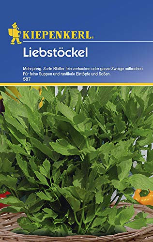 Kiepenkerl 587 Maggikraut Liebstöckel (Maggikrautsamen)