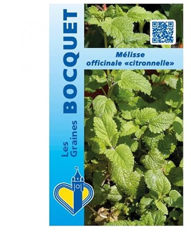 Sachet de graines de Mélisse Officinale « Citronnelle » - 0,5 g - légume feuille - LES GRAINES BOCQUET