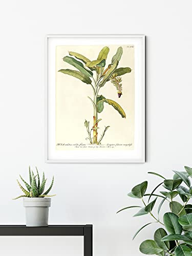 Komar Wandbild - Rainforest Sapling - Größe: 50 x 70 cm - Poster, Kunstdruck, Dekoration, Wohnzimmer, Schlafzimmer (ohne Rahmen)