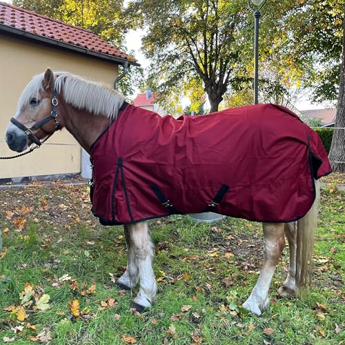Brama-West Regendecke Pferd Zara - Turnout 1200D - Weidedecke Outdoordecke - Wasserdicht Winddicht (Rot, 155)