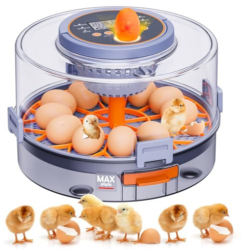 2025 Upgrade Brutautomat Vollautomatisch, MASTERFUN Brutmaschine Vollautomatisch für 12 Eier mit Automatischem Wenden der Eier und Feuchtigkeits und Temperaturkontrolle, Schierlampe für Hühnereier