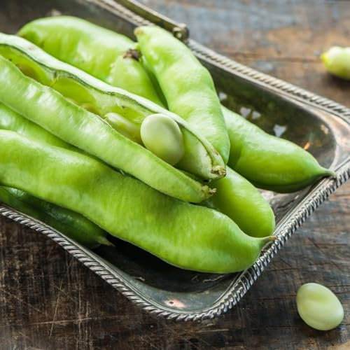 Broad Bean 'The Sutton' - Dwarf Variety for Small Spaces - Abundant Pods Ideal for Freezing - Versatile Spring and Autumn Sowing - Perfect for Container Gardens! - 2X Seed Packets by Suttons